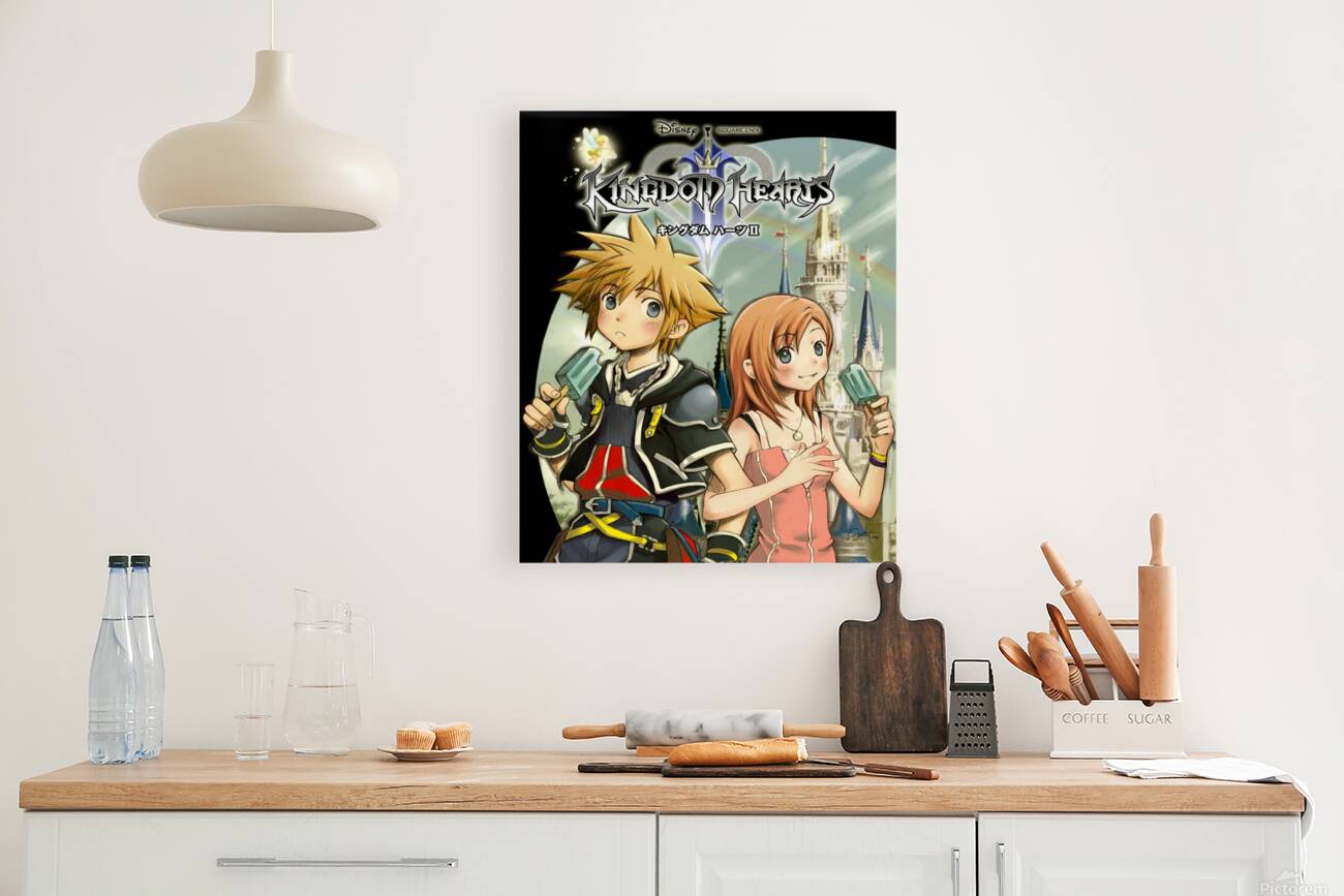 kingdom hearts Reproduction
