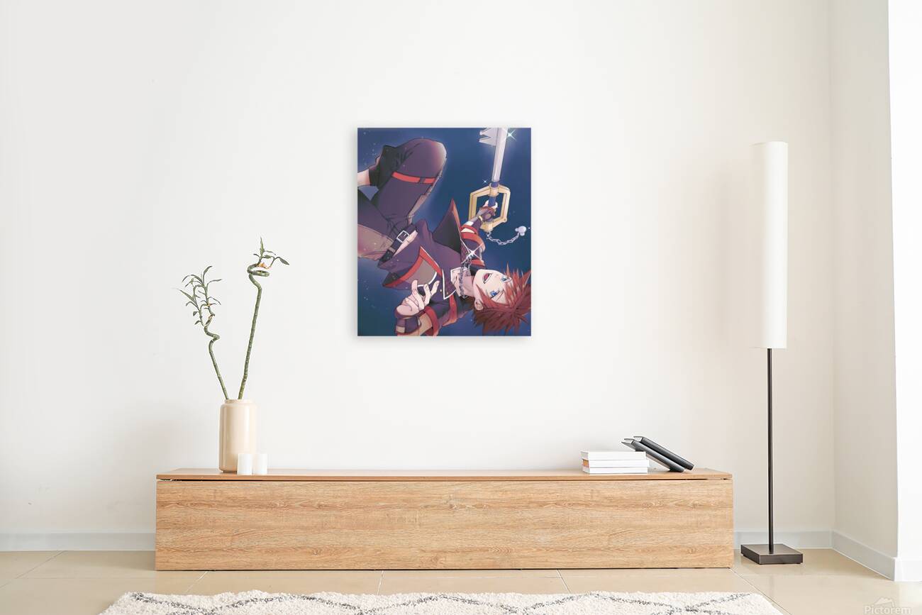kingdom hearts Reproduction