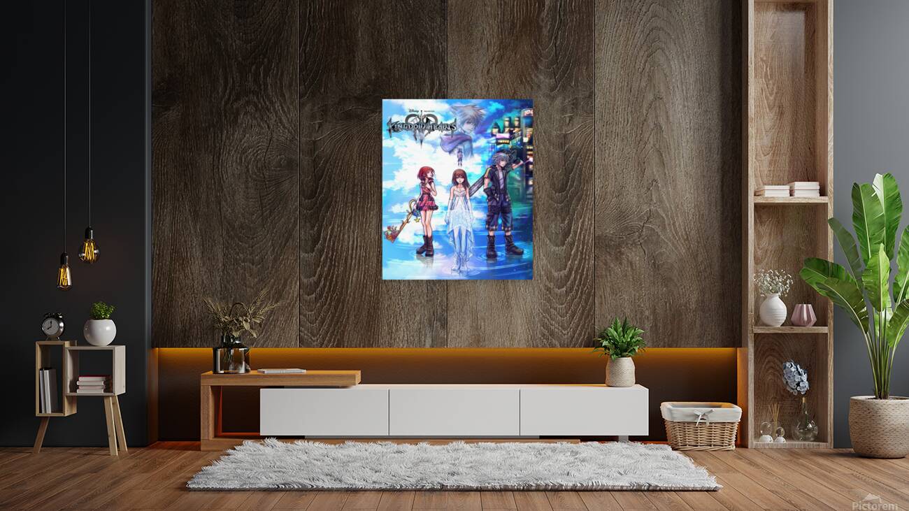 kingdom hearts Reproduction