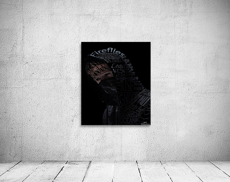 Alan Walker Wall Preview