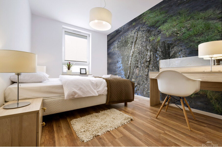 Path Reflection Mural print
