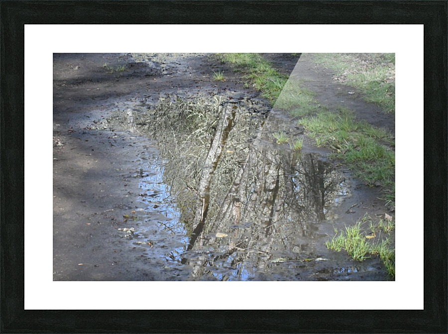 Path Reflection Picture Frame print