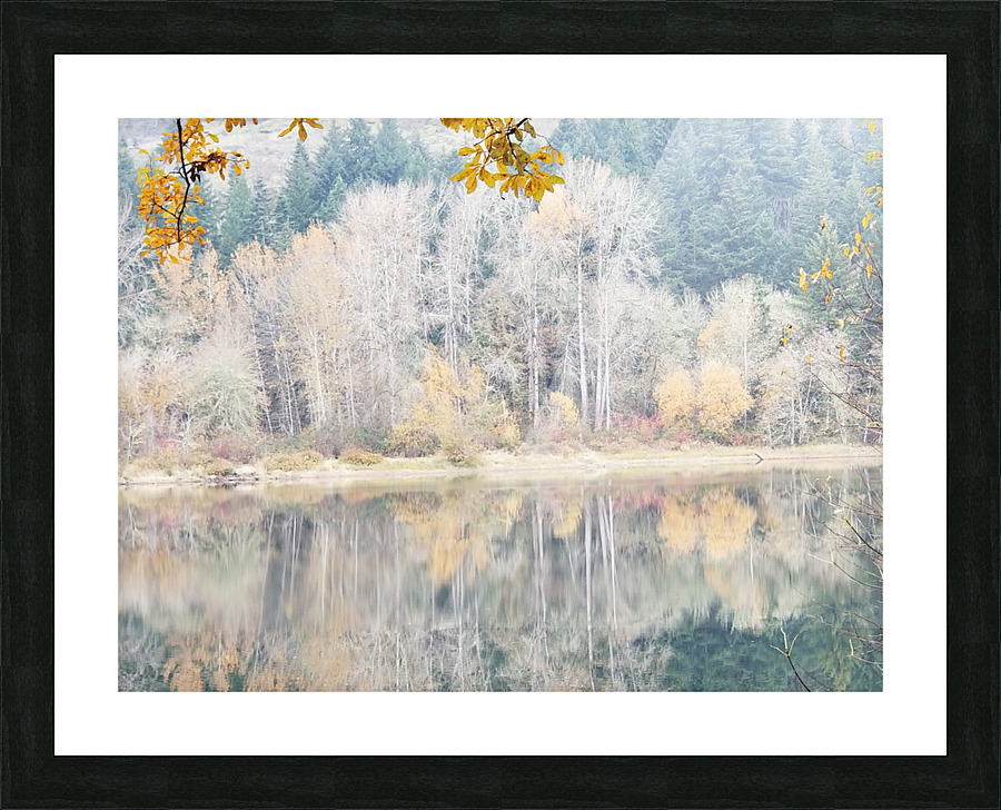 Fall Trees Picture Frame print