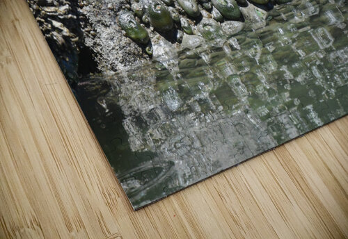 Sea Creatures earthdawg puzzle