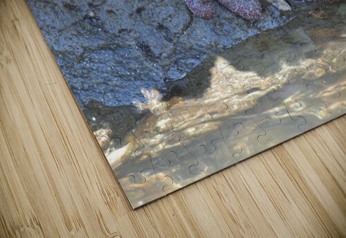 Starfish earthdawg puzzle