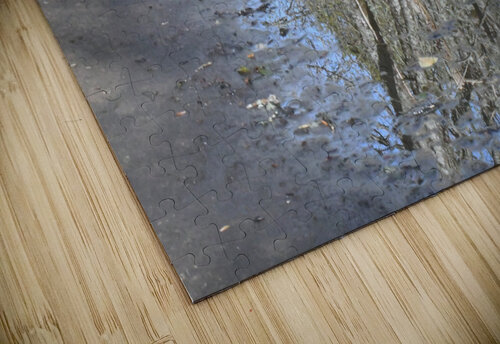 Path Reflection earthdawg puzzle