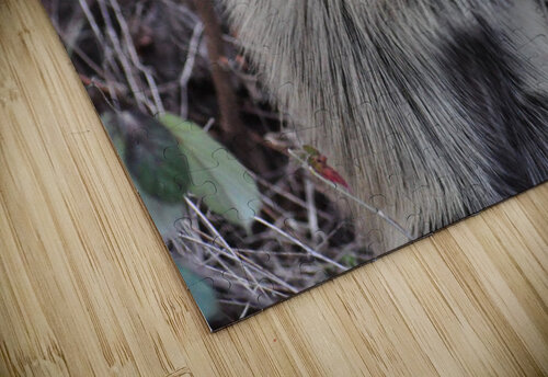 Pork 4 earthdawg puzzle