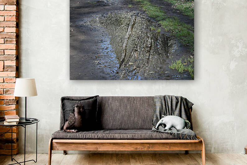 Path Reflection Reproduction