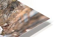 Lake Bridge HD Metal print