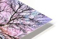 Winter Sunrise HD Metal print