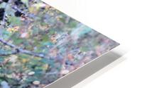 Path HD Metal print