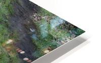Path Reflection HD Metal print
