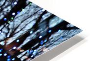 Lights HD Metal print
