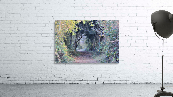 Path Wall Preview