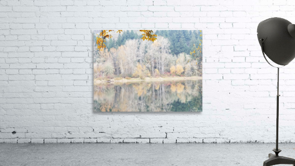 Fall Trees Wall Preview