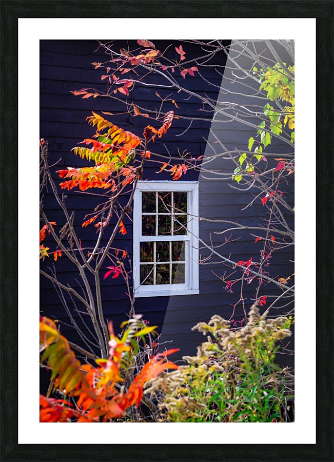 Autumn Window Picture Frame print