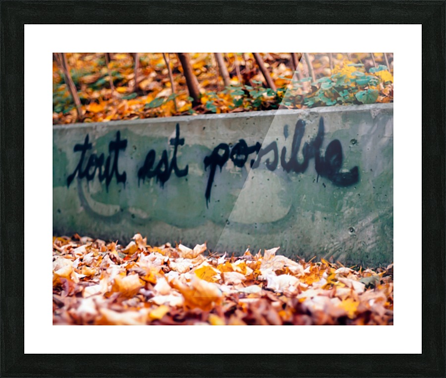 tout est possible Picture Frame print