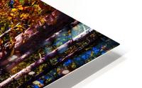 Autumn Fire HD Metal print