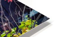 Autumn Window HD Metal print