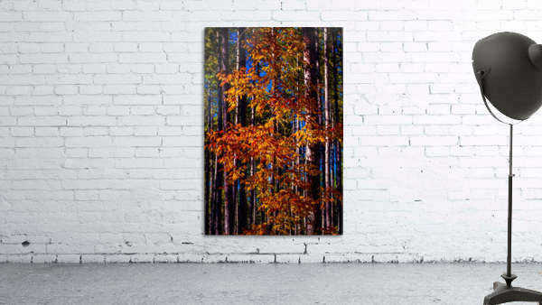 Autumn Fire Wall Preview