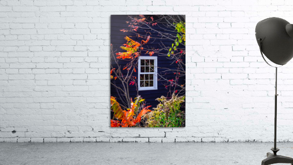 Autumn Window Wall Preview