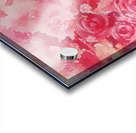 Roses Acrylic print