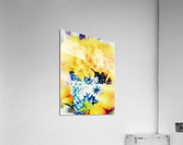 Daffodils Acrylic Print