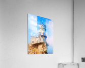 Swallows nest Acrylic Print