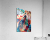 Ginger Acrylic Print