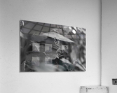 Creepy Crawly B&W Acrylic Print