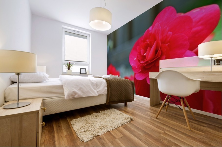 Red Water Mural print