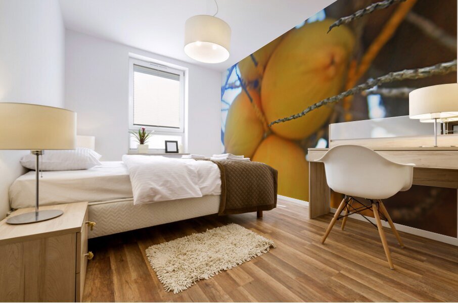 Jamaican Coconuts Mural print