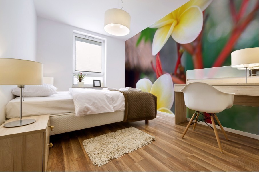 Frangipani - Belize Mural print