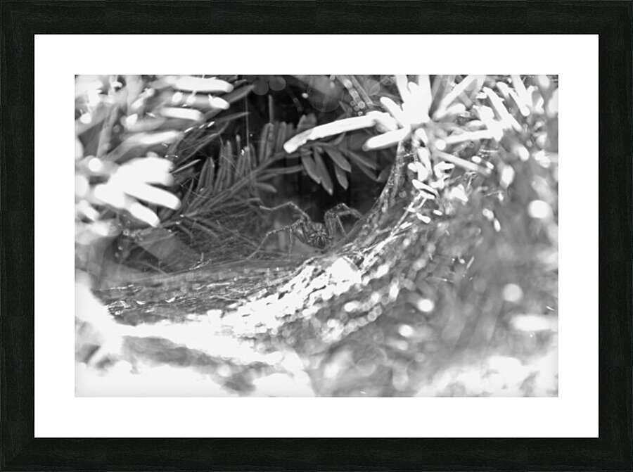 I See You B&W Picture Frame print