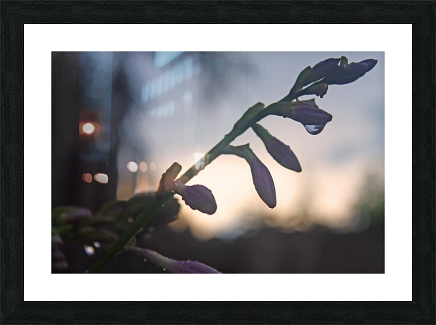 Rain at Dusk Picture Frame print