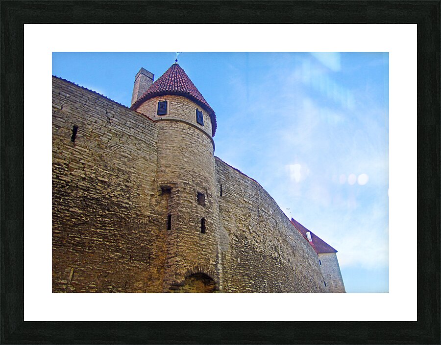 Estonia Castle Picture Frame print