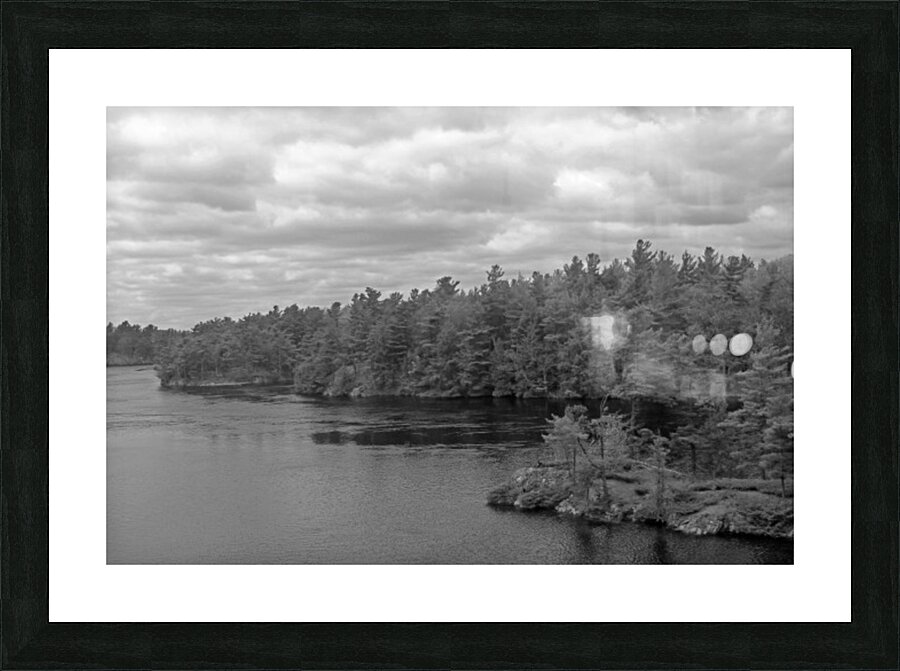 Infinite Trees B&W Picture Frame print