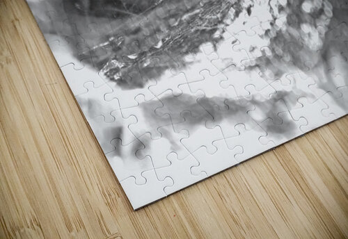I See You B&W Timeless Views Photography puzzle