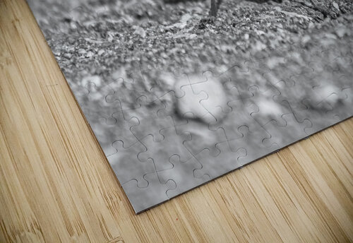 Grasshopper B&W Timeless Scenery Photography puzzle
