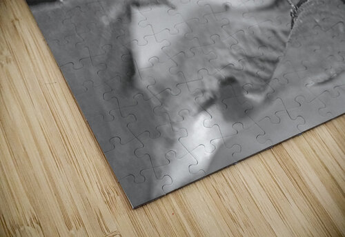 Chilling Grasshopper B&W Timeless Scenery Photography puzzle
