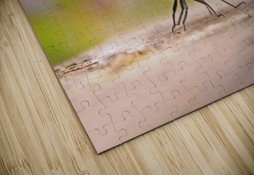 Staying Still - Dragonfly Timeless Scenery Photography puzzle