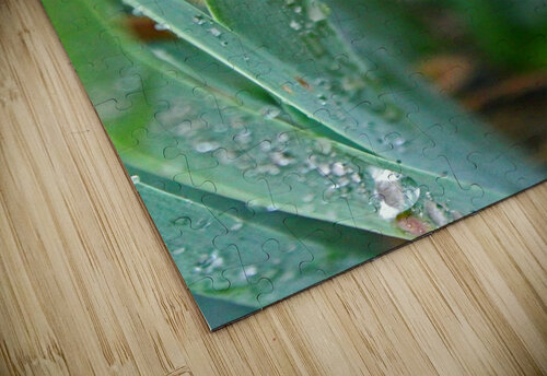 Rain and Grass Timeless Scenery Photography puzzle