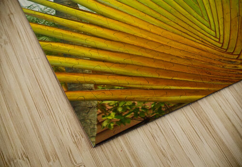 Sprouting Free in Belize Timeless Scenery Photography puzzle
