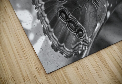 Resting For A While - Belize B&W Timeless Scenery Photography puzzle