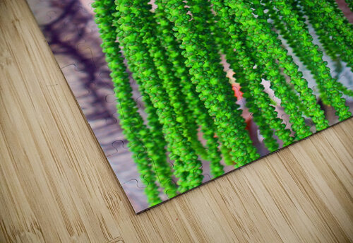 Plant Dreads - Belize Timeless Scenery Photography puzzle