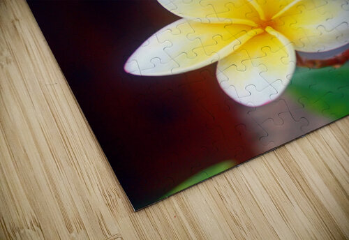 Frangipani - Belize Timeless Scenery Photography puzzle