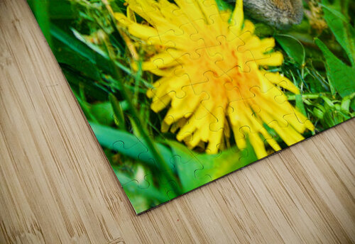 Little Rabbit - Ontario Canada Timeless Views Photography puzzle