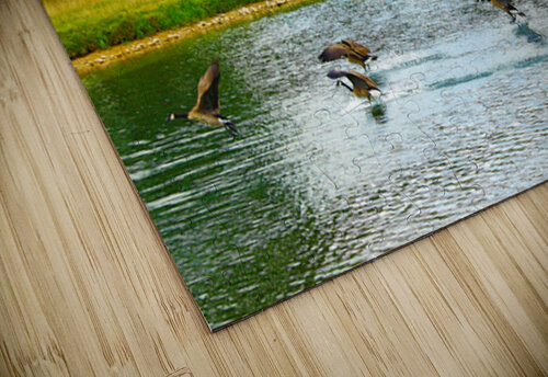 Morning Takeoff - Michigan Timeless Views Photography puzzle