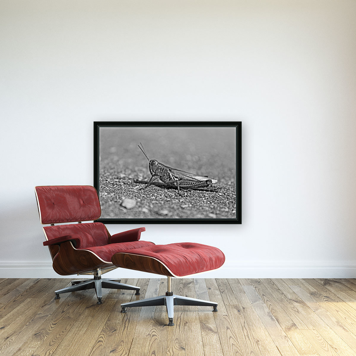 Grasshopper B&W Reproduction