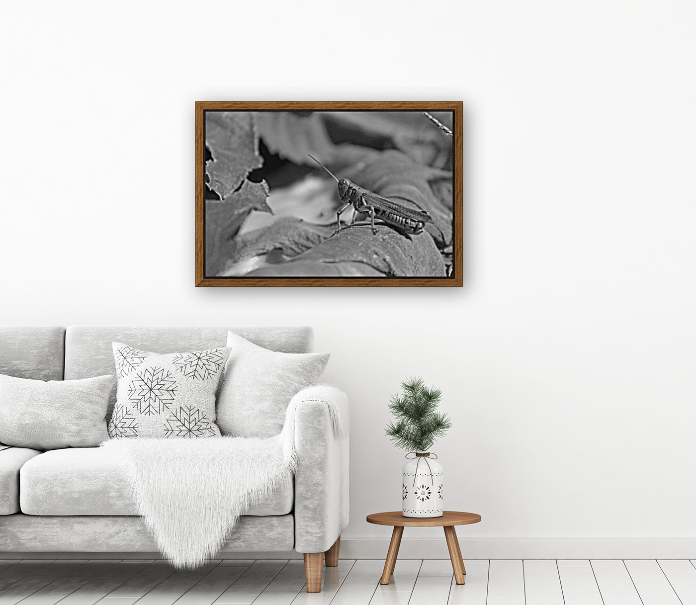 Chilling Grasshopper B&W Reproduction